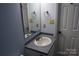 Bathroom featuring a corner vanity, updated fixtures, and a large mirror at 1091 Farm Pond Ln, Rock Hill, SC 29732