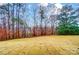Landscaped backyard with lush grass and mature trees at 2015 Cedar Falls Dr # 72, Waxhaw, NC 28173