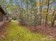 View of backyard with wooded area and mossy ground at 124 Ashleigh Ct, Fort Mill, SC 29715