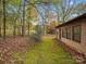Side view of house showing exterior and landscaping at 124 Ashleigh Ct, Fort Mill, SC 29715