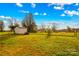 Open grassy backyard with shed and trees at 227 Grassy Meadow Ln, Statesville, NC 28625