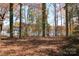 Lake view through trees and fall foliage at 173 Driftwood Dr, Troutman, NC 28166