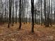 Peaceful wooded area with tall trees and dry leaves on the ground at 150A Lookout Dam Rd, Statesville, NC 28625