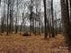 Spacious wooded lot with mature trees, ideal for nature lovers at 150A Lookout Dam Rd, Statesville, NC 28625