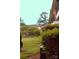 Landscaped courtyard with green space at 4605 Coronado Dr, Charlotte, NC 28212