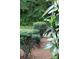 Green landscaping with various shrubs at 4605 Coronado Dr, Charlotte, NC 28212