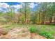 Private backyard with a wooded area and grassy space at 8127 Paw Club Dr, Charlotte, NC 28214