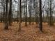 Level wooded lot with mature trees at 154A Lookout Dam Rd, Statesville, NC 28625