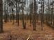 Wooded lot perfect for your dream home at 154A Lookout Dam Rd, Statesville, NC 28625