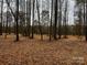 Spacious wooded lot perfect for building your dream home at 155A Lookout Dam Rd, Statesville, NC 28625