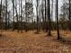 Spacious wooded lot perfect for building your dream home at 155A Lookout Dam Rd, Statesville, NC 28625