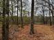 Wooded lot with mature trees and a tranquil setting at 155A Lookout Dam Rd, Statesville, NC 28625
