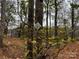Wooded lot with mature trees and a tranquil setting at 155A Lookout Dam Rd, Statesville, NC 28625