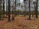 Spacious wooded lot perfect for building your dream home at 155A Lookout Dam Rd, Statesville, NC 28625