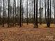 Spacious lot with hardwood trees and a natural landscape at 156A Lookout Dam Rd, Statesville, NC 28625
