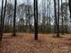 Spacious lot with hardwood trees and a natural landscape at 156A Lookout Dam Rd, Statesville, NC 28625