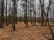 Spacious lot with hardwood trees and a natural landscape at 156A Lookout Dam Rd, Statesville, NC 28625