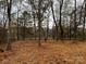 Spacious lot with hardwood trees and a natural landscape at 156A Lookout Dam Rd, Statesville, NC 28625