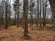 Secluded wooded lot with mature trees, perfect for a private home at 156A Lookout Dam Rd, Statesville, NC 28625