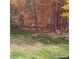 Landscaped backyard with mature trees showcasing beautiful fall foliage at 11620 Foggy Bank Ln, Charlotte, NC 28214
