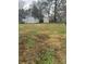 Large backyard with sheds and grassy area at 843 Spring St, Rock Hill, SC 29730