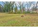 Large backyard with firepit and lush greenery at 1065 14Th Nw Ave, Hickory, NC 28601