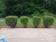 Neatly landscaped backyard with a concrete patio at 204 W 18Th St, Newton, NC 28658
