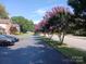 Landscaped street with purple crape myrtles at 204 W 18Th St, Newton, NC 28658