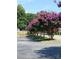 Street lined with blooming crape myrtles at 204 W 18Th St, Newton, NC 28658