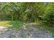 Overgrown backyard with mature trees and a gravel path at 5621 Mount Olive Church Rd, Charlotte, NC 28278