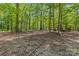 Open area in a wooded lot at 5621 Mount Olive Church Rd, Charlotte, NC 28278