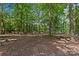 Wooded lot with mature trees and natural terrain at 5621 Mount Olive Church Rd, Charlotte, NC 28278