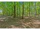 Wooded lot with mature trees and open areas at 5621 Mount Olive Church Rd, Charlotte, NC 28278