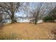 Backyard with shed, trees, and autumn leaves at 429 Hill St, Statesville, NC 28677