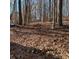 Wooded lot covered in fallen leaves with a house visible in the distance at 2150 Pressley Rd, Chester, SC 29706