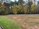 Front yard view of landscaping and driveway at 369 Pinecrest Cir, Troy, NC 27371