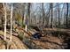Small creek running through a wooded area at 633 Weston Acres Rd, Fort Lawn, SC 29714