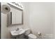 Simple bathroom with pedestal sink and toilet at 7108 Founders Club Ct, Charlotte, NC 28269