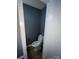 Small bathroom with gray walls and white toilet at 3274 Heathstead Pl, Charlotte, NC 28210