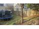 Backyard with trampoline and tree next to wooden privacy fence at 6334 Dillard Ridge Dr, Charlotte, NC 28216
