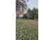 Landscaped yard with mostly fallen leaves and a few shrubs at 6334 Dillard Ridge Dr, Charlotte, NC 28216
