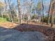 Wooded backyard with shed and leaf covered ground at 6833 Charette Ct, Charlotte, NC 28215