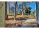 Spacious backyard with mature trees and a wood fence at 2515 Dion Ave, Charlotte, NC 28212