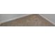 Close-up view of neutral-toned carpet showing some stains at 185 Giant Oak Ave, Statesville, NC 28677
