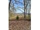 A scenic view of a natural landscape with rolling hills, bare trees, and fallen leaves at 206 Rocky Top Rd, Taylorsville, NC 28681