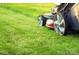 Close-up of a lush green lawn being mowed at 1733 Gutter Branch Dr, Charlotte, NC 28216