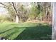 Large tree and grassy backyard area at 126 Beechwood Dr, Salisbury, NC 28147