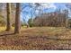 Spacious backyard with large trees and open space at 800 Peachtree Rd, Charlotte, NC 28216