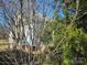 Side view of a white house partially obscured by trees at 1002 N Hayne St, Monroe, NC 28112