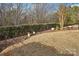 Landscaped backyard with fenced perimeter and manicured lawn at 15244 Legend Oaks Ct, Fort Mill, SC 29707